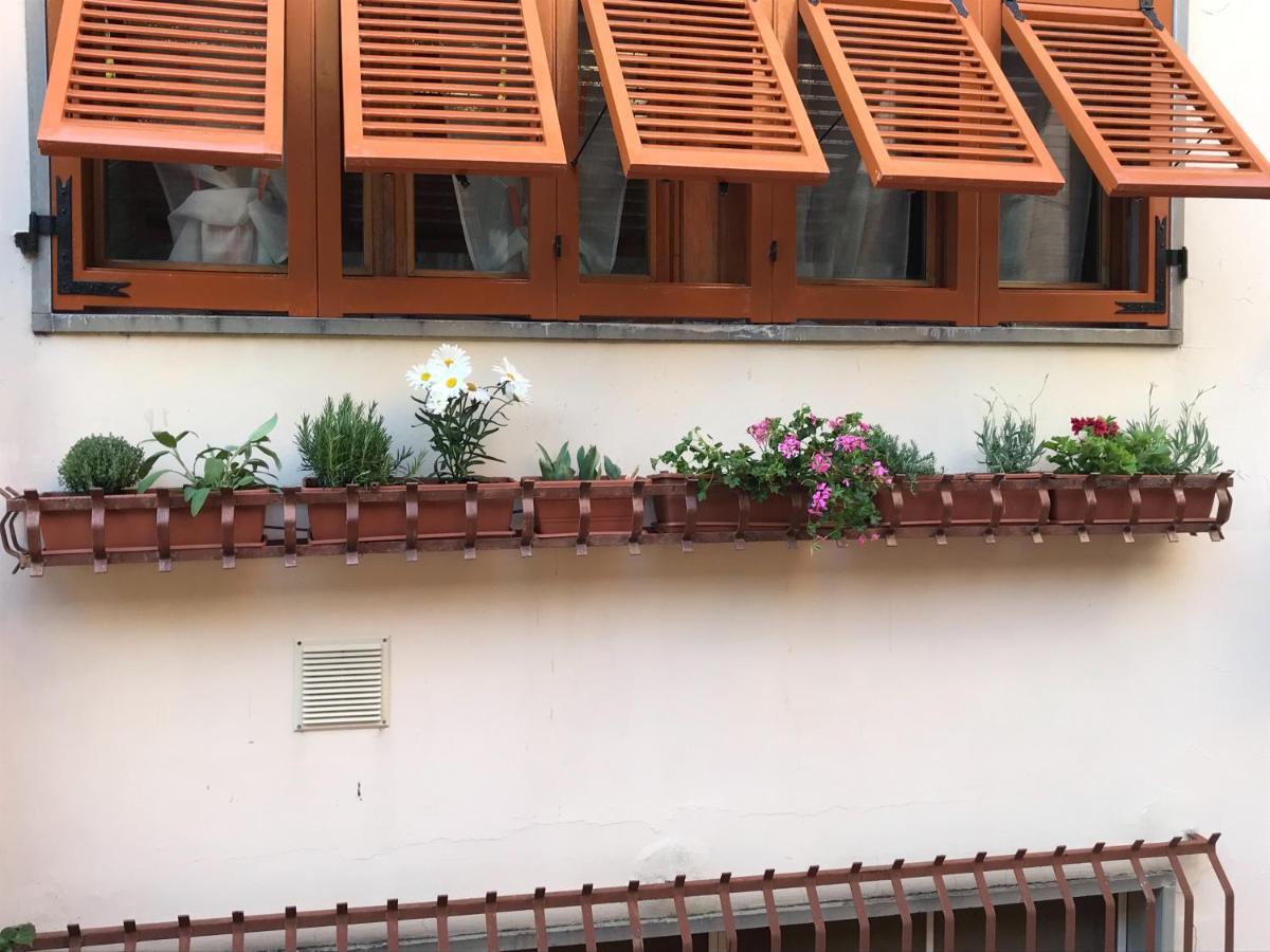 דירות לריצ'י La Casa Fra Gli Ulivi מראה חיצוני תמונה